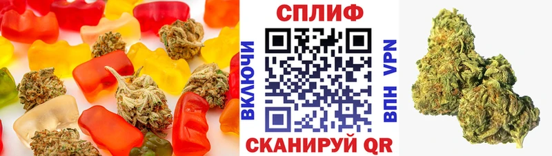 купить наркоту  Мурино  мориарти клад  Canna-Cookies марихуана 