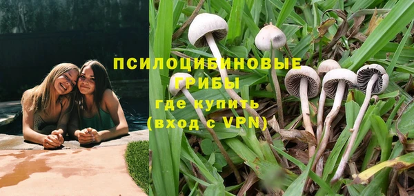 сатива Рославль