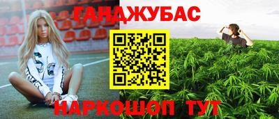 стафф Заволжье