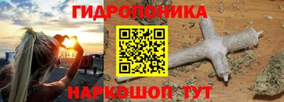 стафф Заволжье