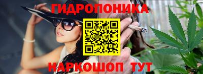 молекула духа Заводоуковск
