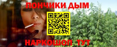 молекула духа Заводоуковск