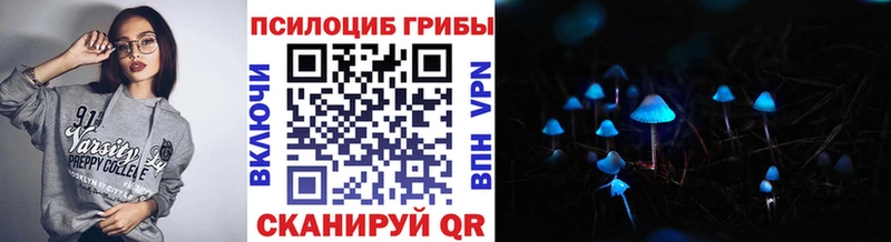 OMG как зайти  где купить наркотик  Мурино  Галлюциногенные грибы Psilocybe 
