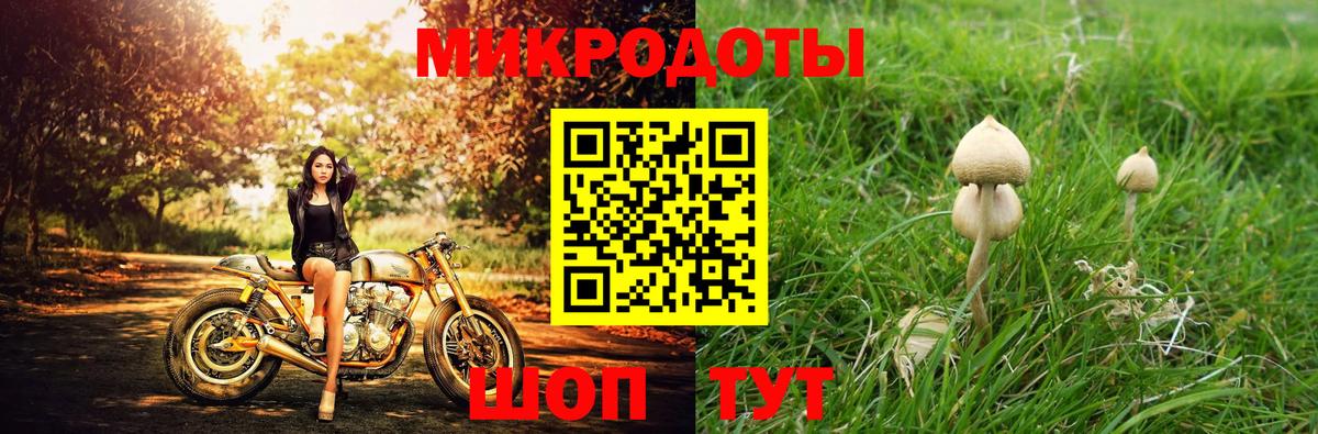 Галлюциногенные грибы прущие грибы  Вход с VPN  Мурино  Псилоцибиновые грибы Psilocybine cubensis 